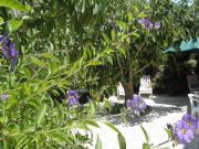 Location de particuliers � particuliers Chambre d'hotes � LA CIOTAT � mi chemin entre Marseille et Toulon Chambres d'hotes Bouches du rh�ne photo 7