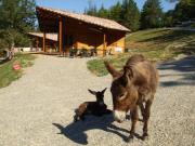 Location de particuliers � particuliers Location chalet vacances A la limite du Gers, pays gascon Location saisonni�re Lot et Garonne photo 2