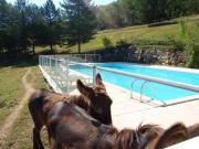 Location de particuliers � particuliers Location chalet vacances A la limite du Gers, pays gascon Location saisonni�re Lot et Garonne photo 7