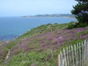 Location de particuliers � particuliers Bretagne, Vacances insolites en roulotte entre baie de Morlaix et c�te granit rose Location saisonni�re Finist�re photo 14