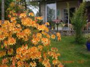 Location de particuliers � particuliers Gites a la semaine ou au mois