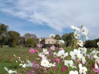 Location g�te, chambres d'hotes Grand mas a louer &agrave; 25 minutes de Montpellier  dans le d�partement H�rault 34