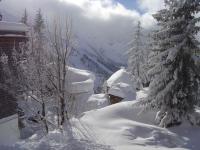 Location de particuliers � particuliers Location d'un appartement au ski � AVORIAZ Location saisonni�re Haute Savoie photo 10