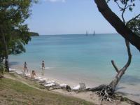 Location de particuliers � particuliers Location Junior Suite � Anse Caritan Sainte Anne , les pieds dans l'eau Location saisonni�re Martinique photo 5
