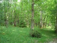 Location de particuliers � particuliers L' Essartille chambres d' h�tes Chambres d'hotes Charente photo 4