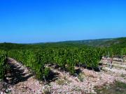 Location de particuliers � particuliers Chambre d h�tes chez l habitant au c�ur du vignoble cadurcien Chambres d'hotes Lot photo 2