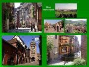 Location de particuliers � particuliers Vue imprenable d�s 250�/sem. Studio F2- F3 d�s 420� � 850mts Proche route des vins  G�te Haut Rhin photo 10