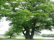 Location de particuliers � particuliers G�te 