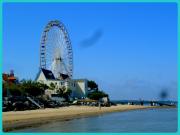 Location de particuliers � particuliers HOTEL MAISON D'HOTES BORD DE MER LA TREMBLADE Chambres d'hotes Charente maritime photo 6