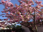 Location de particuliers � particuliers Suite avec terrasse et jardin G�te Nord photo 13