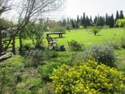 Location de particuliers � particuliers LES GITES DU CASTELLI,LES CHENES en campagne et au calme, proche du centre historique de SALON DE PROVENCE G�te Bouches du rh�ne photo 12