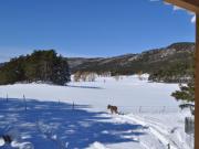 Location de particuliers � particuliers CABANE SUR PILOTIS FACE A LA VALLEE ET A LA MONTAGNE vue magnifique Chalet Alpes maritimes photo 9