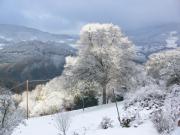 Location de particuliers � particuliers La sapini�re - Calme - Vue sur la montagne massif des hautes Vosges Location saisonni�re Haut Rhin photo 10