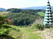 Location de particuliers � particuliers La sapini�re - Calme - Vue sur la montagne massif des hautes Vosges Location saisonni�re Haut Rhin photo 2