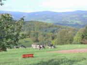 Location de particuliers � particuliers La sapini�re - Calme - Vue sur la montagne massif des hautes Vosges Location saisonni�re Haut Rhin photo 7