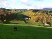 Location de particuliers � particuliers La sapini�re - Calme - Vue sur la montagne massif des hautes Vosges Location saisonni�re Haut Rhin photo 8
