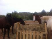 Location de particuliers � particuliers Les hauts de Saubevonne - Gite en zone naturelle G�te Var photo 11