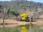 Location de particuliers � particuliers Les hauts de Saubevonne - Gite en zone naturelle G�te Var photo 5