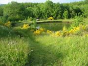 Location de particuliers � particuliers Domaine de L'Ab�ale - G�te Aca�nou G�te Ard�che photo 11