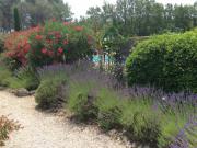 Location de particuliers � particuliers location Gites class�s***, label CLEVACANCES � 15 km d'Aix-en-Provence,id�al pour visiter la r�gion PISCINE, WIFI, PARKING G�te Bouches du rh�ne photo 12