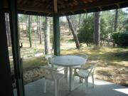 Location de particuliers � particuliers T1 cabine avec jardin pres ocean golf Location saisonni�re Landes photo 6