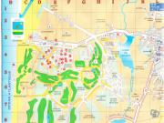 Location de particuliers � particuliers T1 cabine avec jardin pres ocean golf Location saisonni�re Landes photo 7