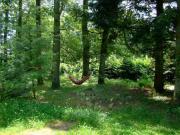 Location de particuliers � particuliers G�te la Maison du Gardien � Buxieres /s Montaigut G�te Puy de D�me photo 8