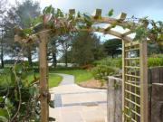 Location de particuliers � particuliers G�te bord de mer-penty- mer est � 800 m G�te Finist�re photo 3