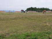 Location de particuliers � particuliers Vacances avec votre cheval Location saisonni�re Lot et Garonne photo 8