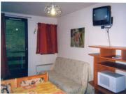 Location de particuliers � particuliers SUR PISTES DE SKIS ! pieds pistes Location saisonni�re Is�re photo 4