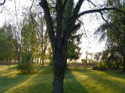 Location de particuliers � particuliers G�te de charme en Nivernais G�te Ni�vre photo 12