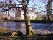 Location de particuliers � particuliers Haras du moulin de Quetieville, site exceptionnel au bord d'une rivi�re G�te Calvados photo 9