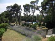 Location de particuliers � particuliers Chambres d'h�tes et G�tes Vignerons Ch�teau Borie Neuve, aux portes de Carcassonne Chambres d'hotes Aude photo 3