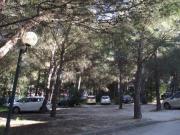 Location de particuliers � particuliers T2 pour au automne au soleil Location saisonni�re Var photo 9