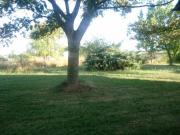 Location de particuliers � particuliers Chambres chez l'habitant / G�te 0 Eug�nie les bains G�te Landes photo 5