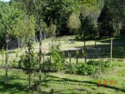 Location de particuliers � particuliers LOUE MAISON DE FAMILLE 5/6 personnes Location saisonni�re Hautes Pyr�n�es photo 5