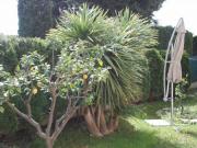 Location de particuliers � particuliers Location saisonni�re RDJ 60M� Antibes Location saisonni�re Alpes maritimes photo 11