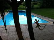 Location de particuliers � particuliers Chalet bord de piscine G�te Rh�ne photo 4