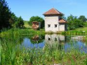 Location de particuliers � particuliers Roulotte au bord d'un �tang pr�s de Nancy,au milieu d'un verger Chambres d'hotes Meurthe et Moselle photo 2