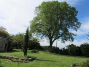 Location de particuliers � particuliers G�te de charme futuroscope/marais poitevin 5/6 pers 86600 St Sauvant G�te Vienne photo 2