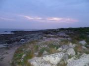 Location de particuliers � particuliers Gite au calme proche mer Cap-Sizun G�te Finist�re photo 10