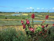 Location de particuliers � particuliers Vacances et courts s�jours - Ile de R� / Les Portes en R� Location saisonni�re Charente maritime photo 12