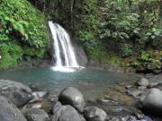 Location de particuliers � particuliers Le Chalet du Soleil, � 20 min de Point � Pitre Chalet Guadeloupe photo 10