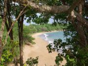 Location de particuliers � particuliers Le Chalet du Soleil, � 20 min de Point � Pitre Chalet Guadeloupe photo 6