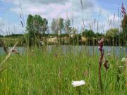 Location de particuliers � particuliers Gite rural A Boduer Location saisonni�re Gers photo 12