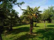 Location de particuliers � particuliers Gite rural A Boduer Location saisonni�re Gers photo 15