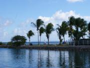 Location de particuliers � particuliers Le Colibri T2 Duplex proche mer et toutes commodit�s Location saisonni�re Guadeloupe photo 10