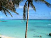 Location de particuliers � particuliers Le Colibri T2 Duplex proche mer et toutes commodit�s Location saisonni�re Guadeloupe photo 11