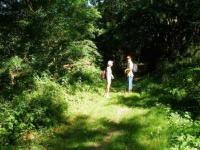 Location de particuliers � particuliers Gite du Clos d'Albray avec piscine sous abris, p�tanque G�te Aveyron photo 7