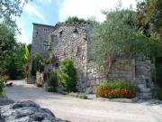 Location de particuliers � particuliers G�tes Les Lauzaces, En bordure du Bois de Paiolive G�te Ard�che photo 3